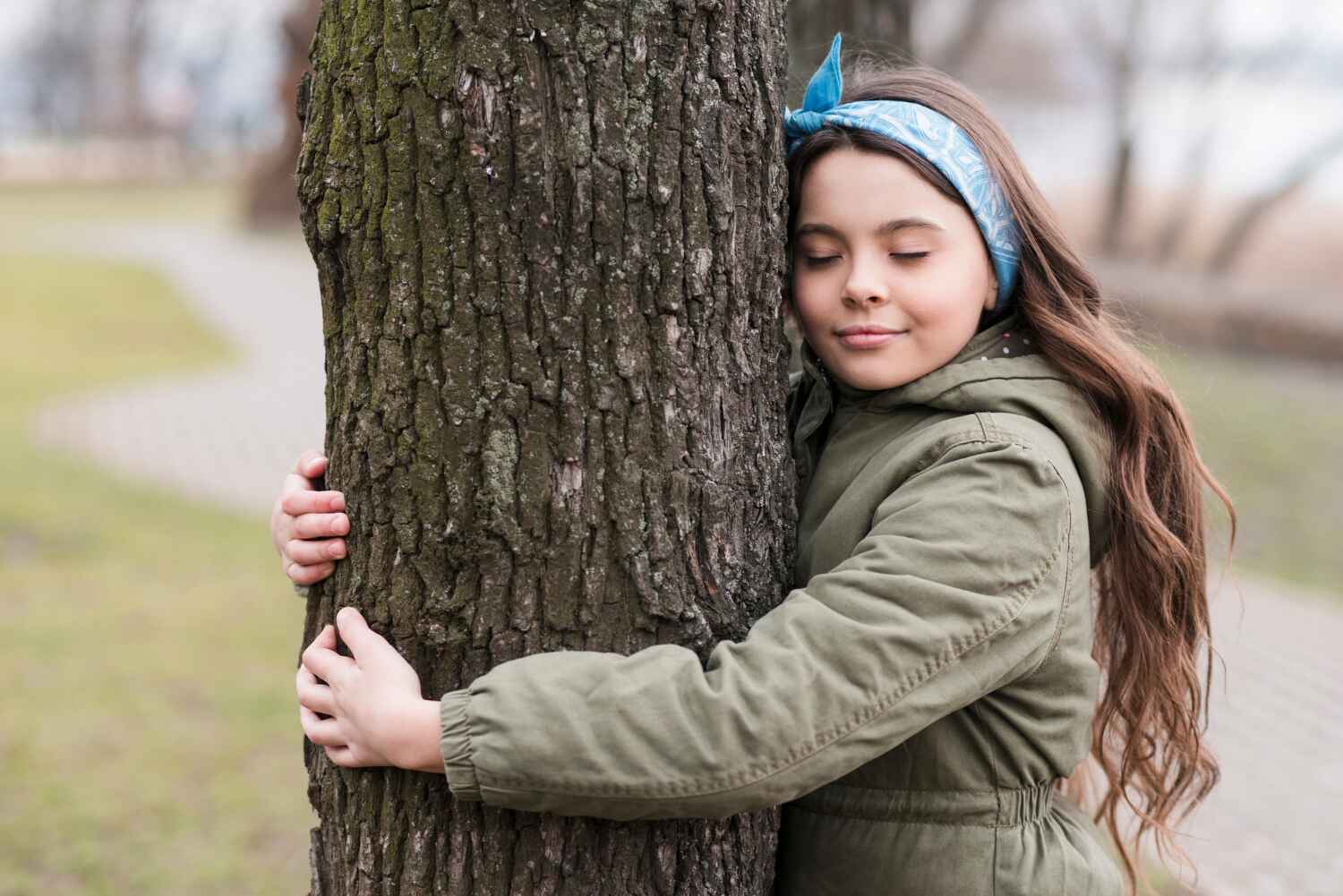 The Steps Involved in Our Tree Care Process in Shamrock, TX